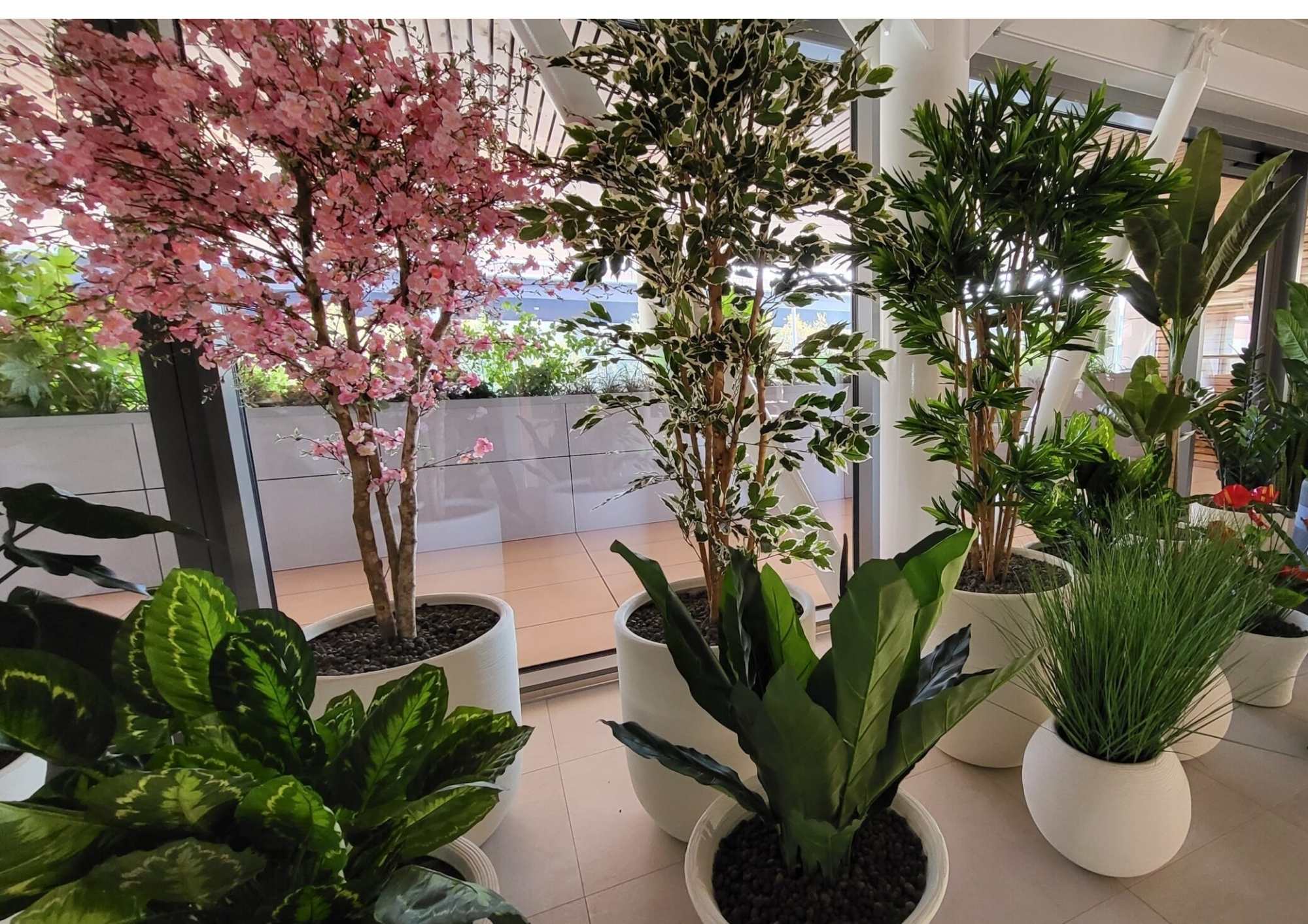 Collections available artificial plants